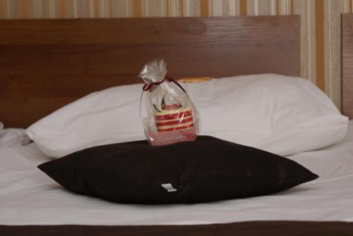 Grot Hotel - image 12