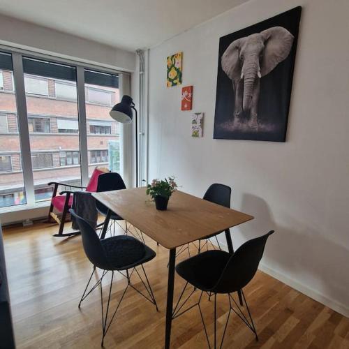 Serene 1 bedroom apartment Oslo, Oslo (Foto 9)