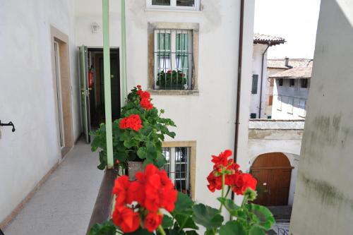 Hotel Sole Holiday 4
