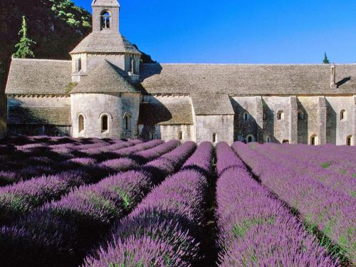 Luxury villa in Provence with a private pool