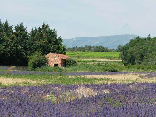 Lovely Cottage in Valr as with Swimming Pool