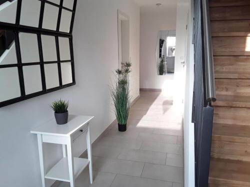 Facilities, Pleasant apartment in Ostbevern in Ostbevern