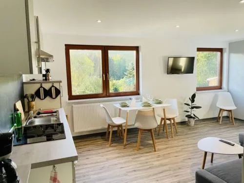 Holiday apartment mountain view in Klingenthal, Deutschland