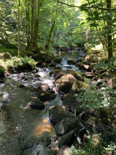Le Petit Gîte de Milhac (Le Petit Gite de Milhac) in Milhac-de-Nontron