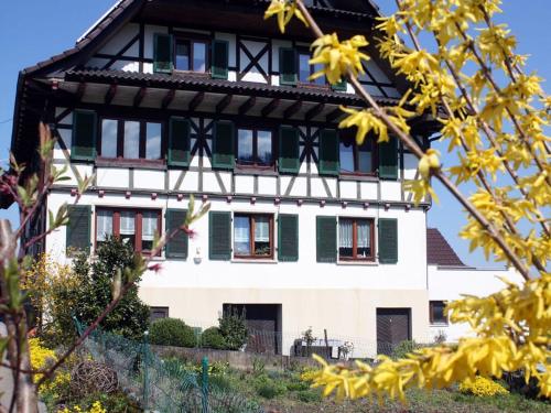 Apartment in Oberkirch, Oberkirch