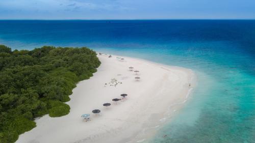 Palm Oasis at Ukulhas