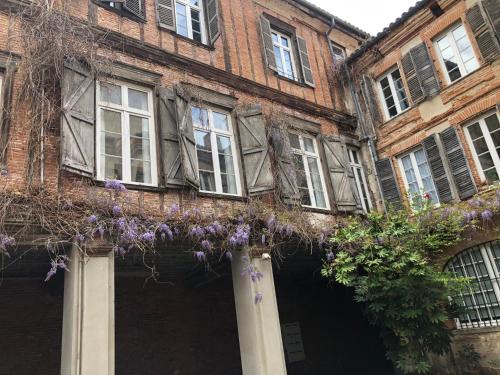 Appartement hyper centre ville Toulouse, Toulouse (fotografie 5)