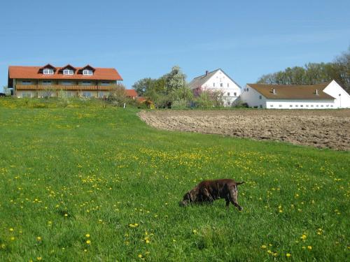 Gracious apartment in RotthalmunsterBavaria,Â with barbecue