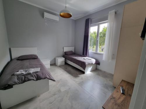 Dentart&Apartments, Tirana