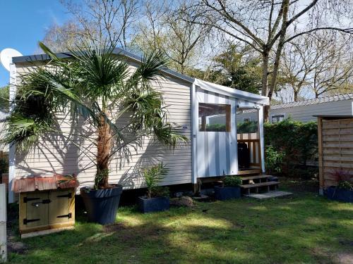 mobilhome