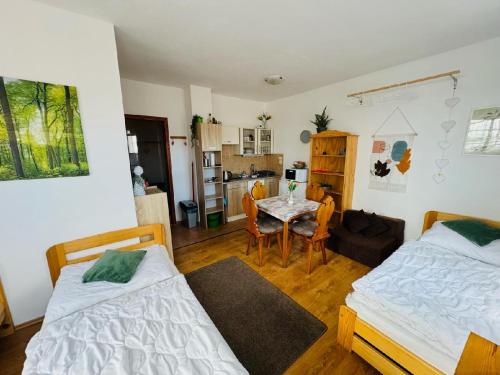 Apartmány Srub Jenišov