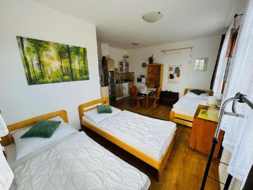 Apartmány Srub Jenišov