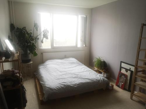 Appartement à 5 min de la Tête d'or