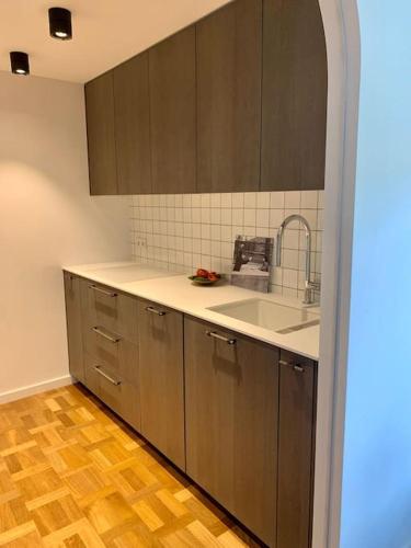 New appartment with art collection in Antakalnis