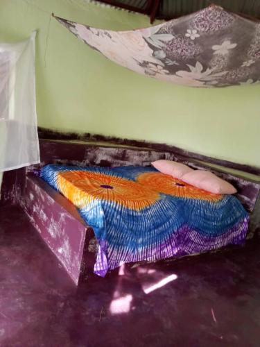 Simple Life on Baobab Beach in Tanji