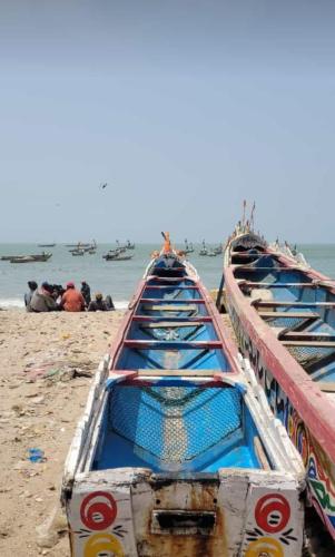 Simple Life on Baobab Beach, Tanji (foto 9)