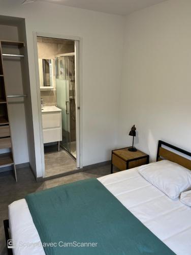 Chambre avec Salle de bain privée dans appartement partagé - Pension de famille - Montpellier