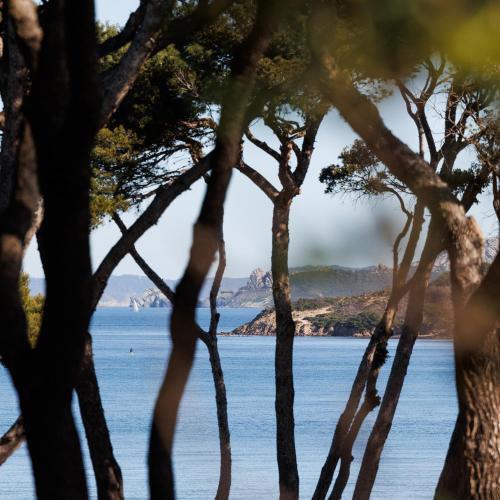 Le Domaine de la mer - Beachhotel Nature&Authenticite Hyères - Hotel