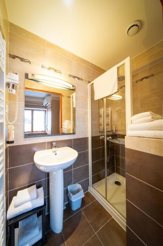 Logis hotel Au Relais Nivernais - 화장실