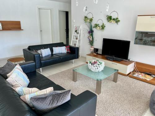  Ascona Monte Verita Apt 10 B in Ascona