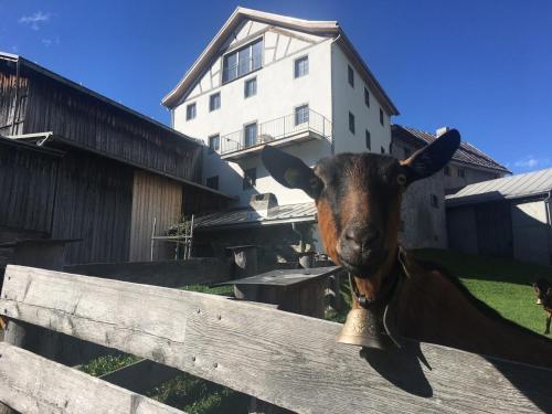 Tgesa Antgerna 1. OG in Salouf, Schweiz