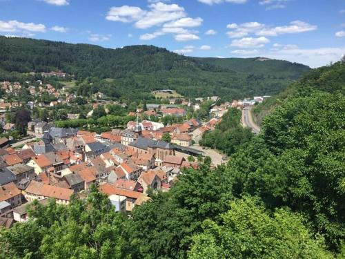 Schirmeck centre appartement au pied du château - Location saisonnière - Schirmeck