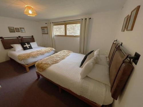 Deluxe Queen Suite