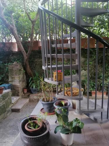 Jardín, Home Shanti in Grottaferrata