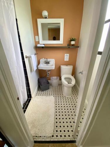 The Bonsai The Bonsai