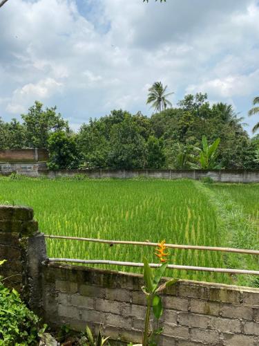 Kembang Kuning Cottages Room Type - Double Room with Garden View