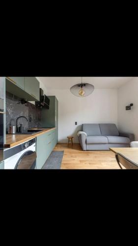 Appartement totalement rénové 4 couchage proche Lyon - Apartment - Oullins