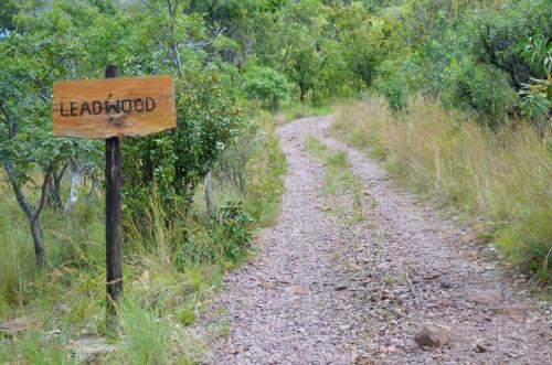 Masungulo Waterberg Game Farm