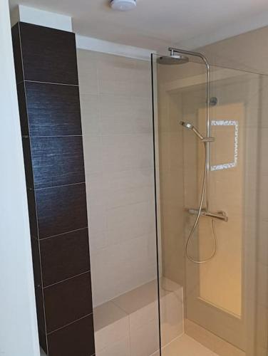 Spacious modern 3 bedroom aparment, Prague (photo 3)