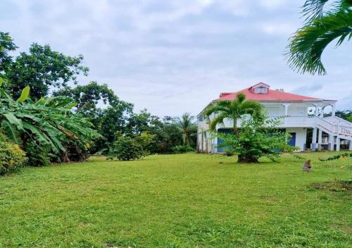 Maison cosy en pleine nature - Location saisonnière - Capesterre-Belle-Eau