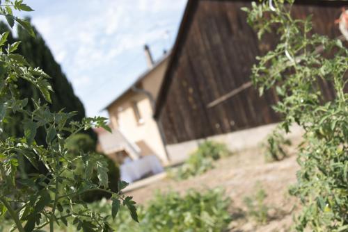 Ferme Typique Alsacienne