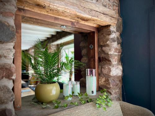 Royal Oak Appleby - image 8