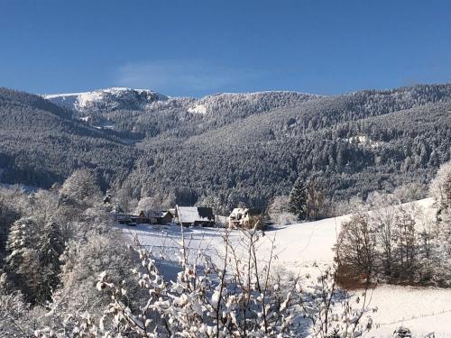 Au croque nature - Location saisonnière - Soultzeren