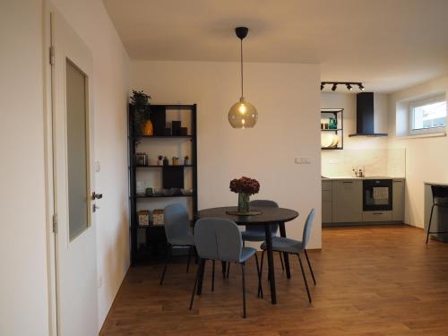 köök, Apartments Abacie Novy Jicin in Novy Jicin