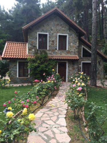 Rose Garden Platres