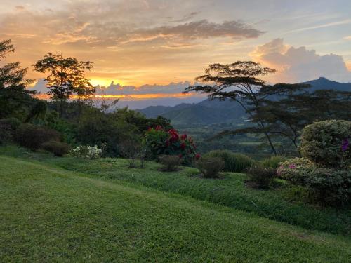 View, Finca cafetera El Abanico Lodge in Oriente