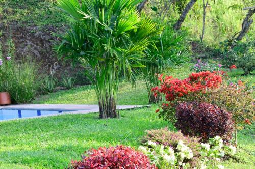 Finca cafetera El Abanico Lodge