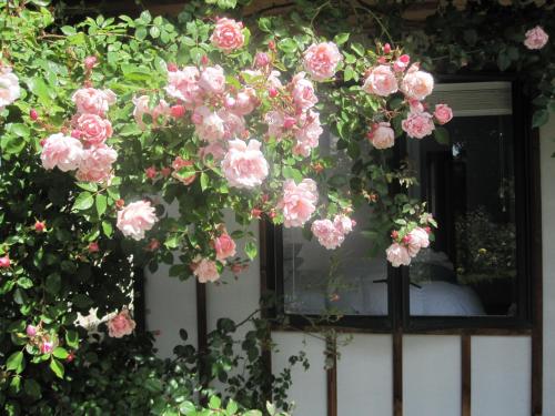 Rose Cottage at The Elms - Christchurch