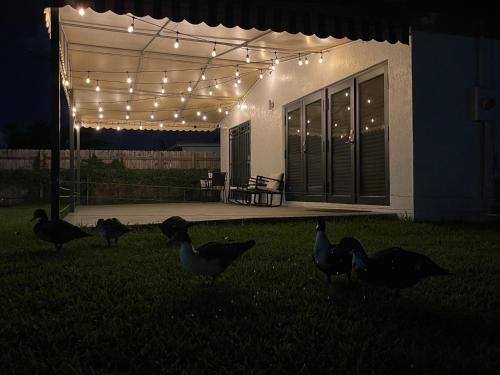 LYZ Miami near อุทยานเขตร้อน