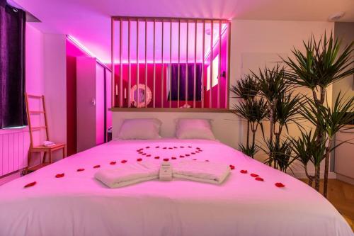 Loveroom en centre ville avec jacuzzi - Notre dame - Location saisonnière - Clermont-Ferrand