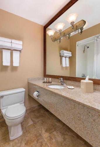Palm Springs - Plaza Resort and Spa in Palm Springs, USA