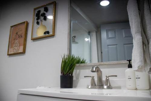 Silver Studio - Apartment - Salt Lake City