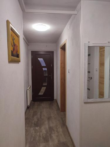 Pod Lasem - Apartment - Nowe Miasto Lubawskie