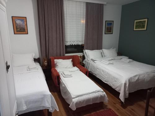 B&B Vila Babin zub