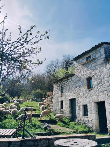 Ferme de Lacassagne