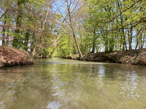 Gemütliches Fachwerkhaus mit Sauna nahe Alfsee am Fluss Hase